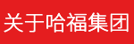 打开港澳宝典资料